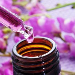 Bachblüten bei Massage- und Gesundheitspraxis Leitner in Langenlois